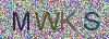 验证码